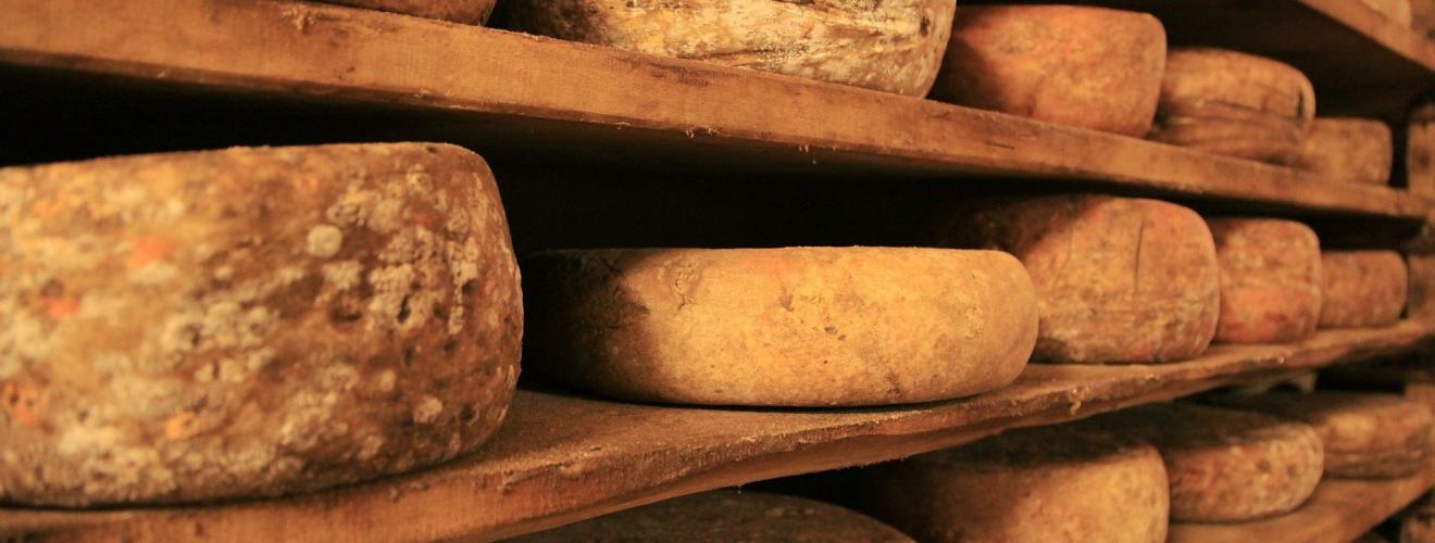 cheese-407121_1920 cheese-407121_1920